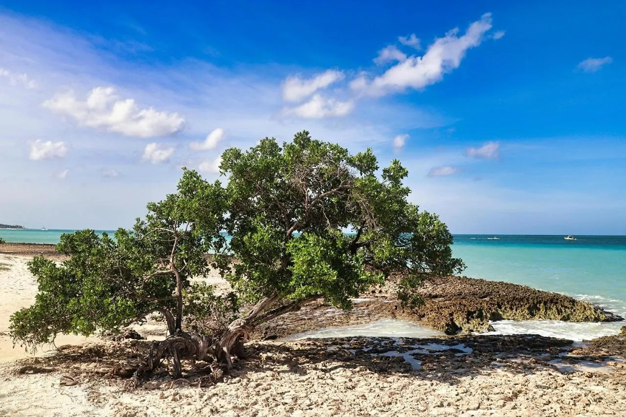 Eagle Stays Aruba-New Luxury, Cozy & Spacious Studio Near Eagle Beach! Oranjestad Apartamento