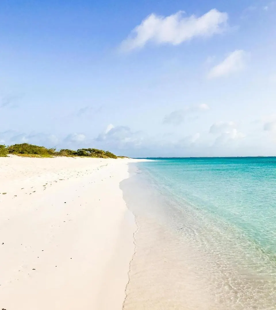 Eagle Stays Aruba-New Luxury, Cozy & Spacious Studio Near Eagle Beach! Oranjestad